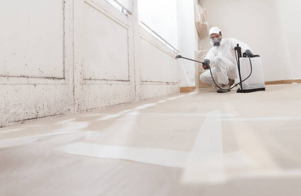 24/7 Emergency Attic Mold Removal experts in Buies Creek, NC